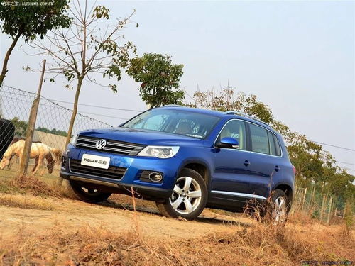 新車一日拆兩回發動機 大眾油品頑疾十年未解